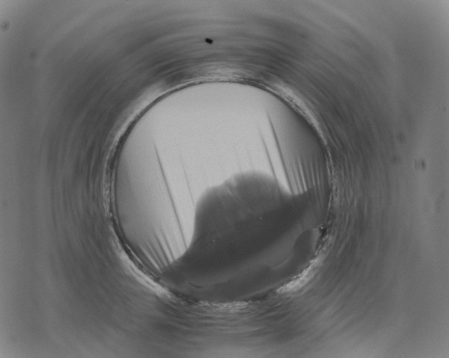 X0000071780851200607211555