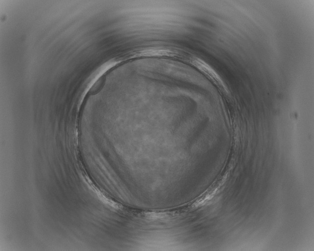 X0000071780852200607211555