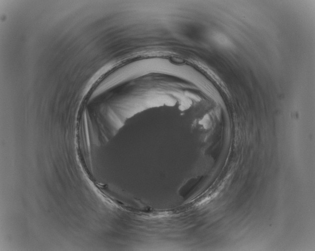 X0000071780853200607211555