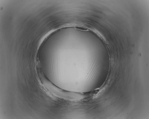 X0000071780854200607211555