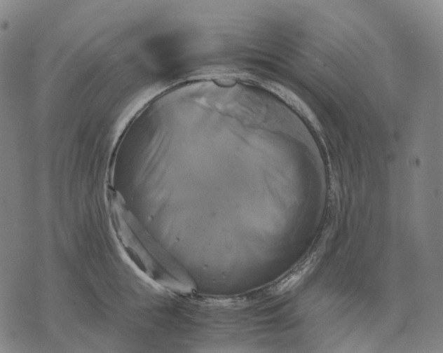 X0000071780855200607211555