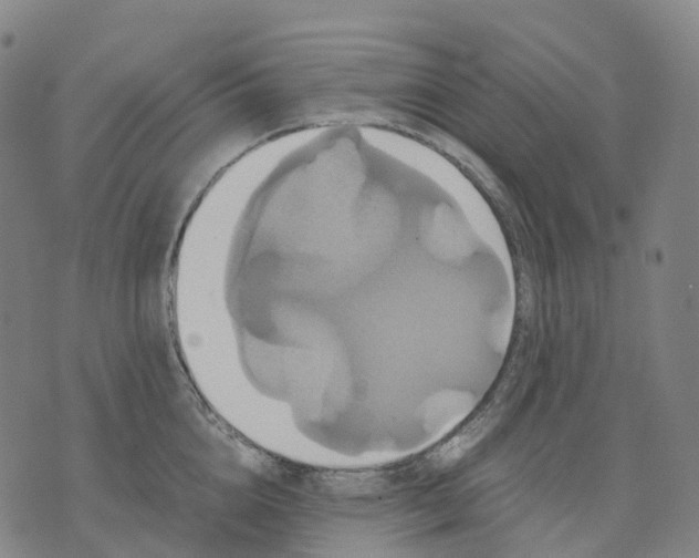 X0000071780856200607211555