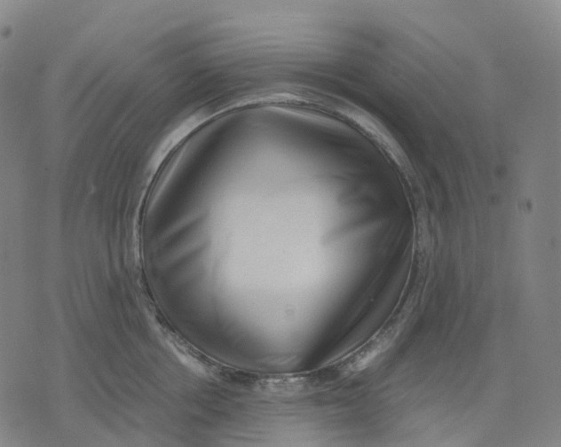 X0000071780858200607211555