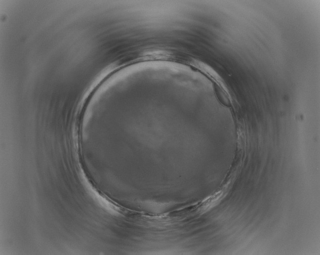 X0000071780859200607211555