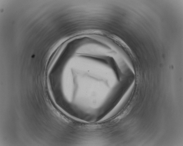 X0000071780860200607211555