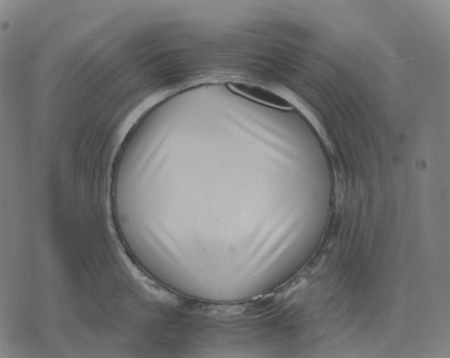 X0000071780861200607211555