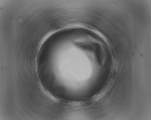 X0000071780862200607211555