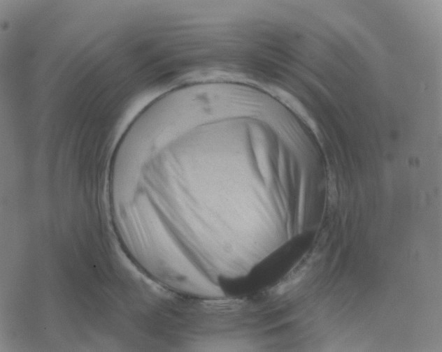 X0000071780863200607211555