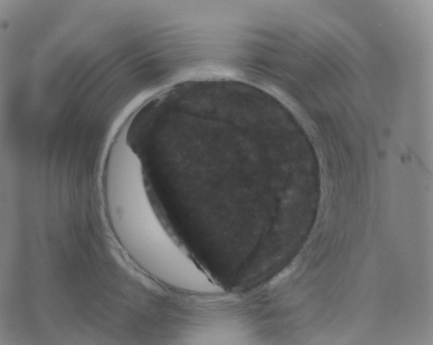 X0000071780864200607211555