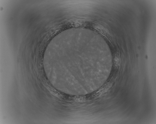 X0000071780865200607211554