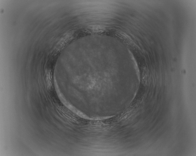 X0000071780866200607211554