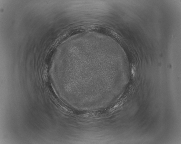 X0000071780867200607211554