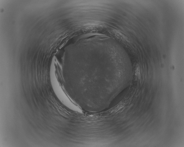 X0000071780868200607211554