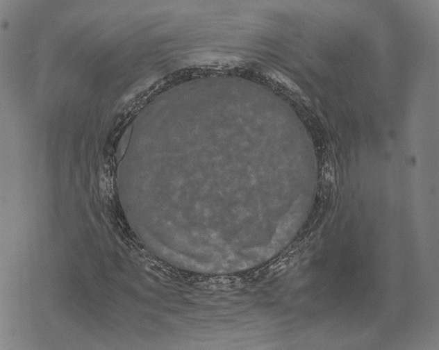 X0000071780869200607211554