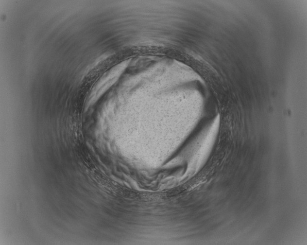 X0000071780870200607211554