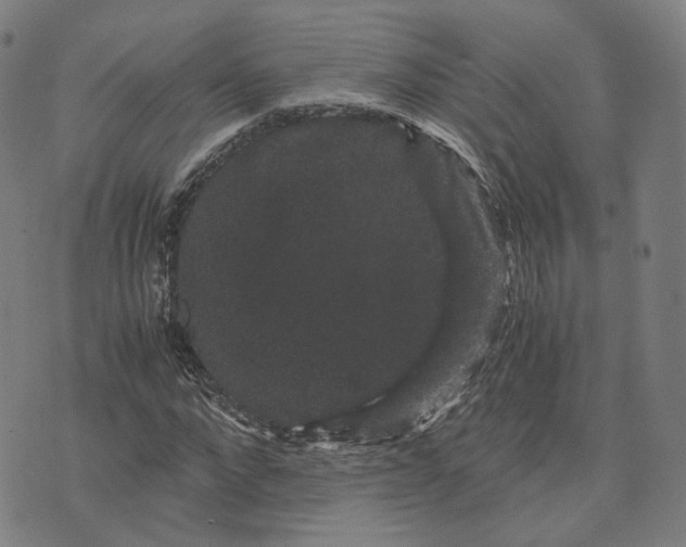 X0000071780872200607211554