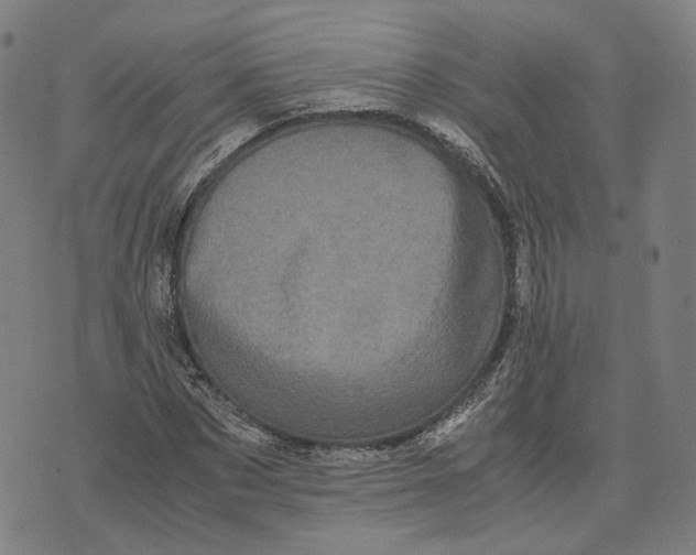 X0000071780873200607211554