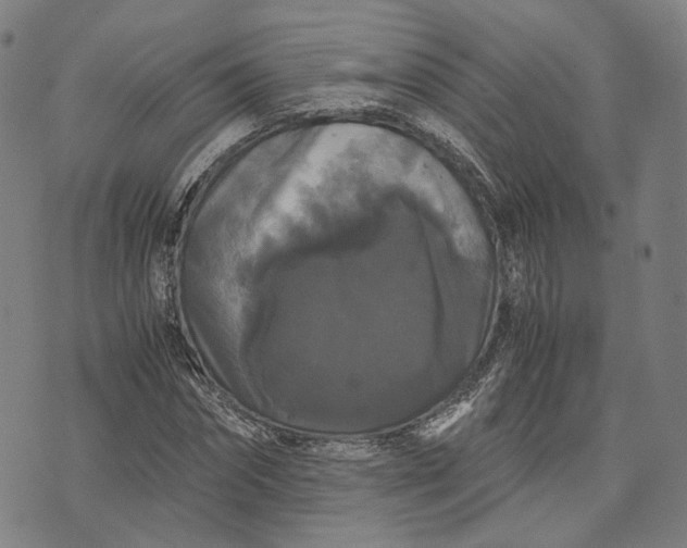 X0000071780874200607211554