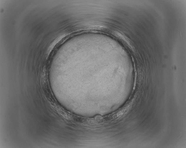 X0000071780875200607211554