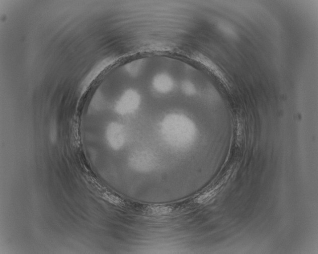 X0000071780878200607211554