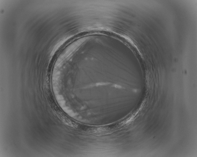 X0000071780879200607211554