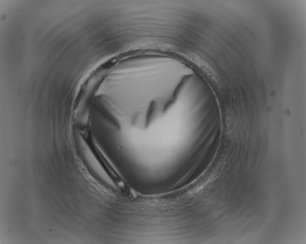 X0000071780880200607211554