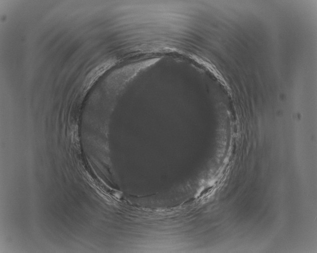 X0000071780881200607211554