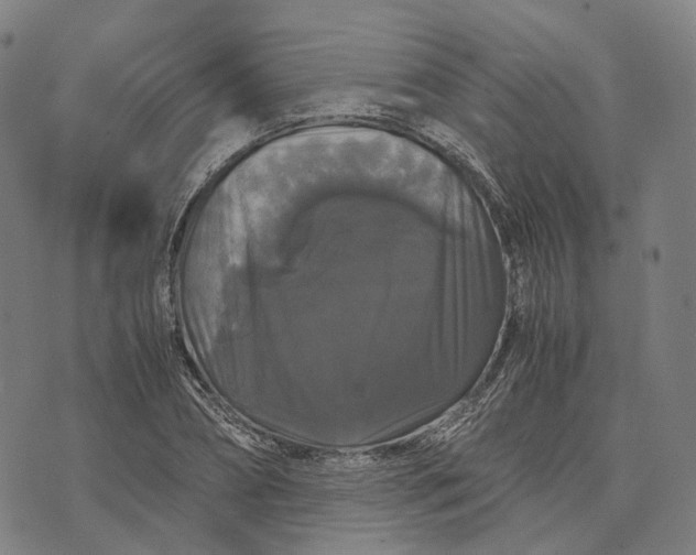 X0000071780882200607211554