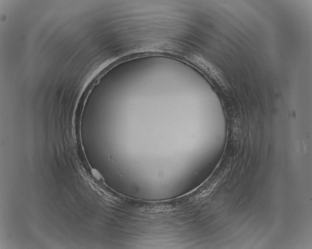 X0000071780884200607211554