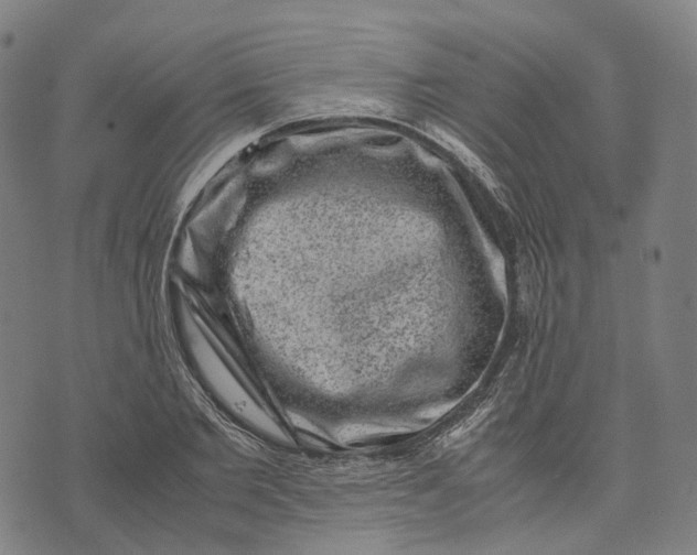 X0000071780885200607211554