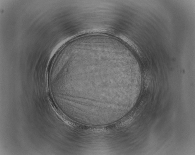 X0000071780886200607211554