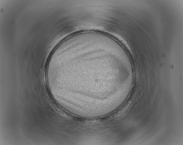 X0000071780887200607211554