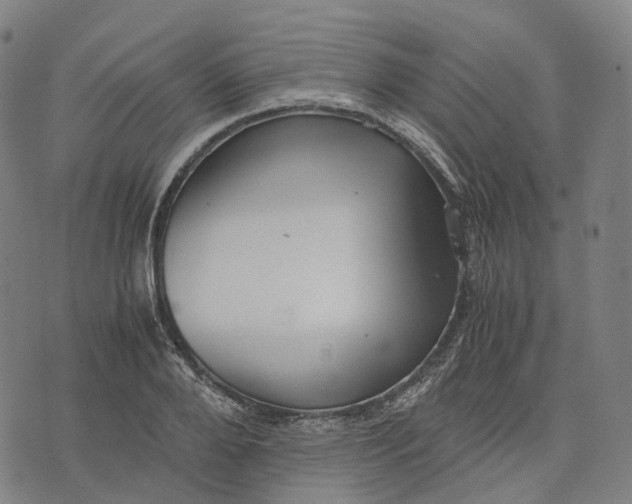 X0000071780888200607211554