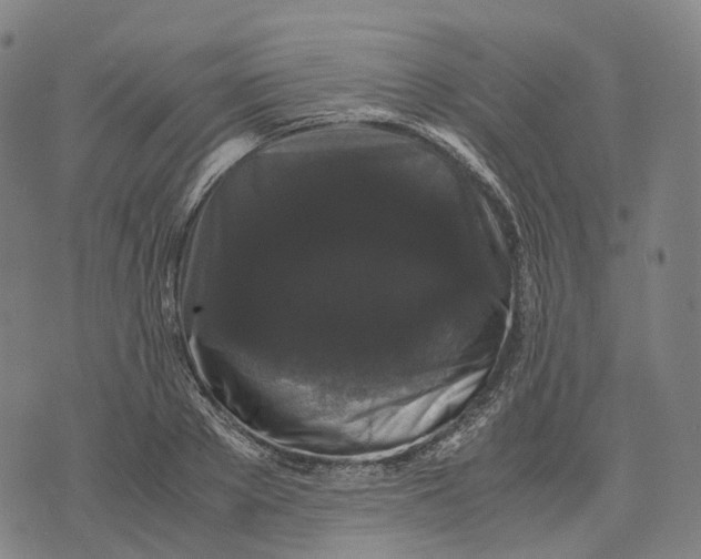 X0000071780889200607211554