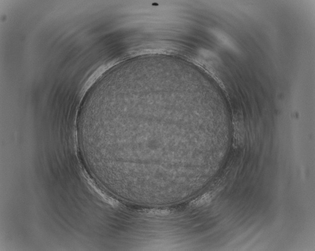 X0000071780890200607211554