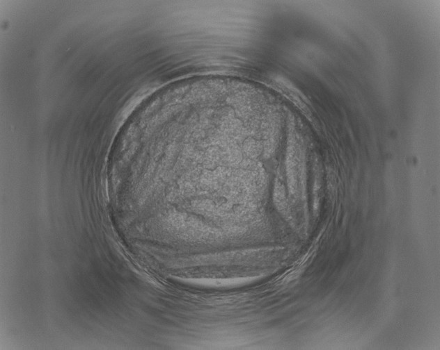 X0000071780891200607211554