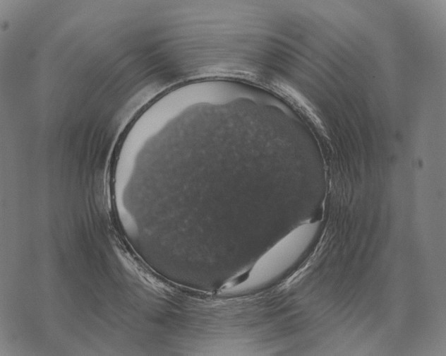 X0000071780892200607211554