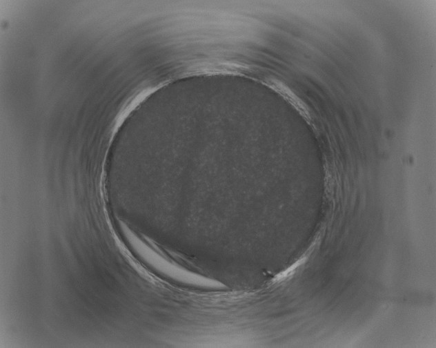 X0000071780893200607211554