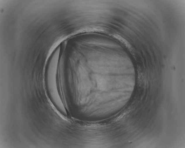 X0000071780894200607211554