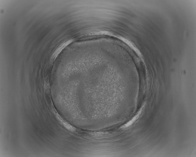 X0000071780897200607211554