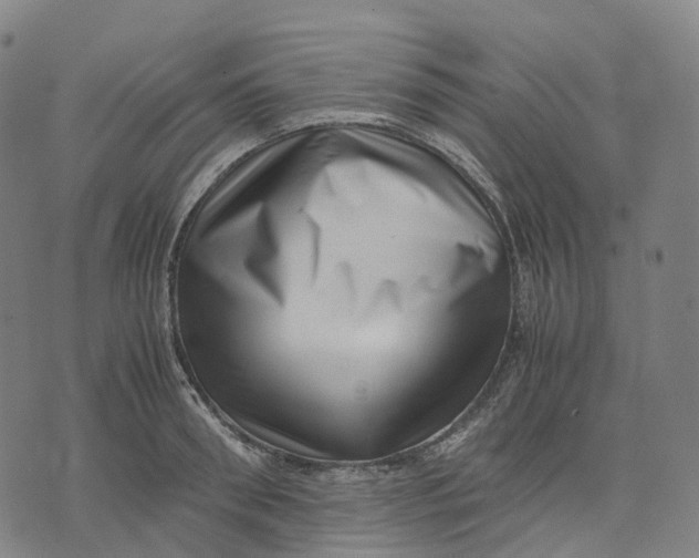 X0000071780898200607211554