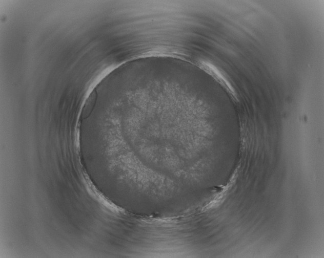 X0000071780900200607211554