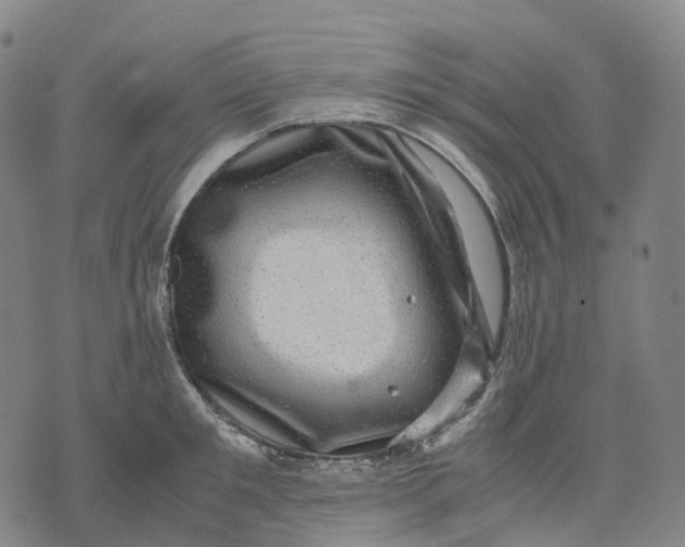 X0000071780901200607211554