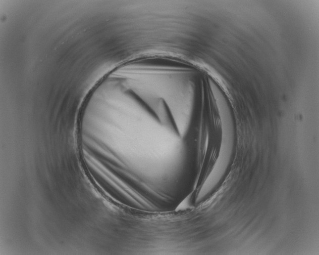 X0000071780902200607211554