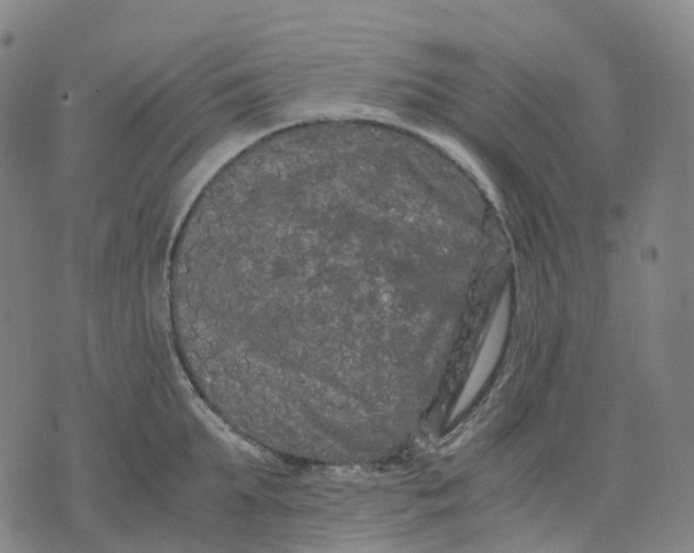 X0000071780903200607211554