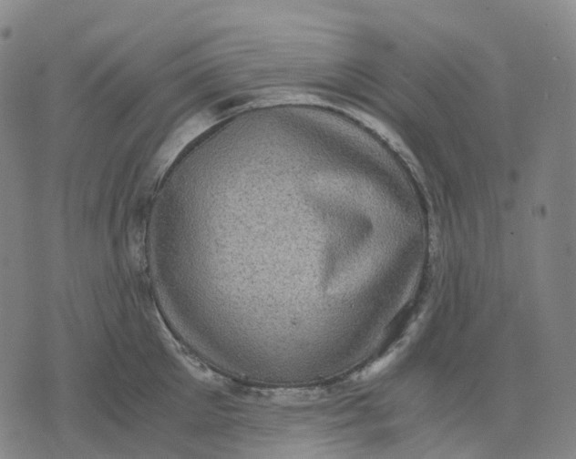 X0000071780905200607211554