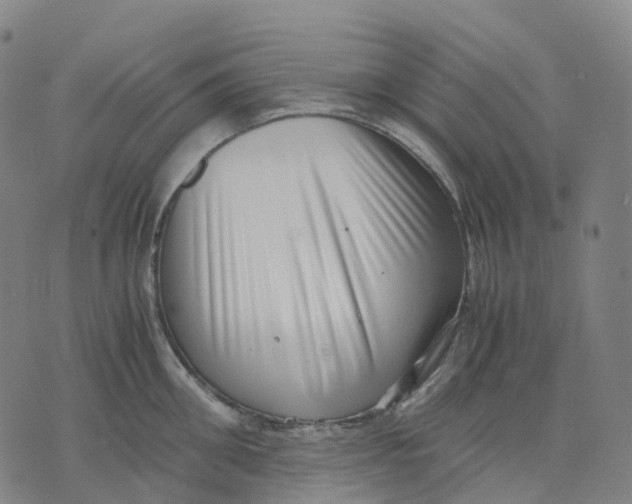 X0000071780906200607211554