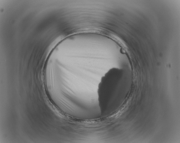 X0000071780907200607211554