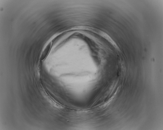 X0000071780908200607211554