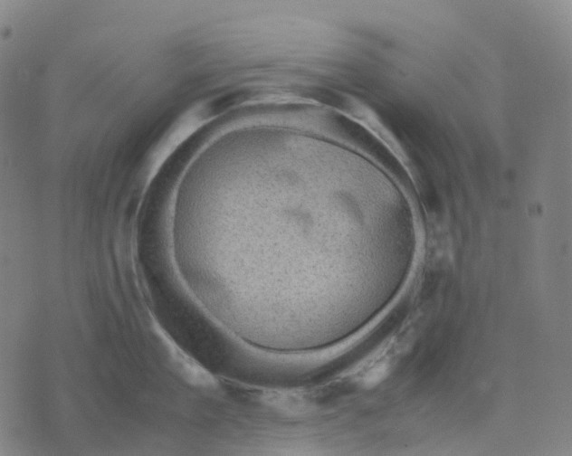 X0000071780909200607211554